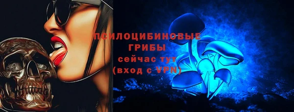 крисы Гусь-Хрустальный