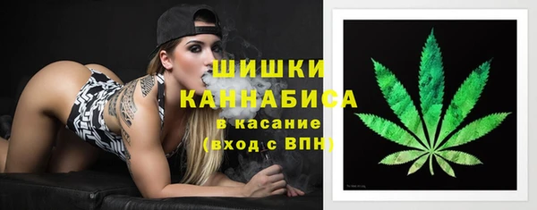 крисы Гусь-Хрустальный