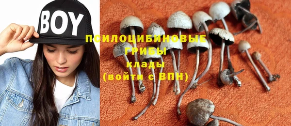 дживик Гусиноозёрск