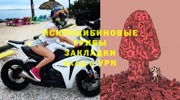 PSILOCYBIN Дмитров