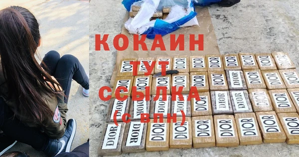 кокс Гусев