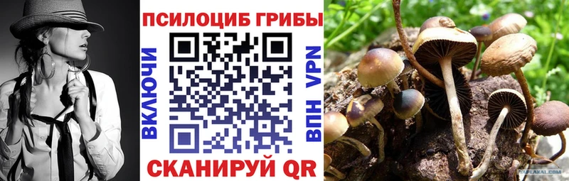 Галлюциногенные грибы прущие грибы  даркнет Telegram  Голицыно  как найти  